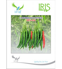 Chilli / Hot Pepper F1 Iris IHS-456 10 grams